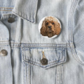 Badge Rond 5 Cm épagneuls cocker (En situation)