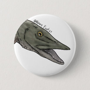 Badge Rond 5 Cm Épingle musquée