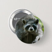 Badge Rond 5 Cm Épinglette de raton laveur (Devant & derrière)
