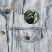 Badge Rond 5 Cm Épinglette de raton laveur (En situation)