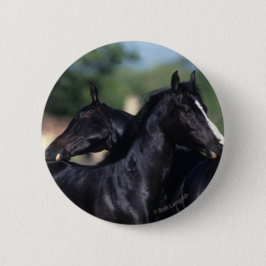 Badge Rond 5 Cm Éraflure arabe de cheval (Devant)