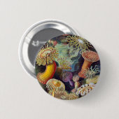 Badge Rond 5 Cm Ernst Haeckel - Actiniae (Devant & derrière)