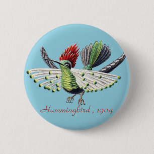 Badge Rond 5 Cm Ernst Haeckel Colibri Coloré Art de la Nature