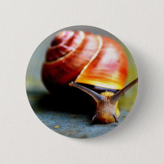 Badge Rond 5 Cm Escargot (Devant)
