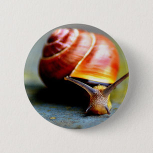 Badge Rond 5 Cm Escargot
