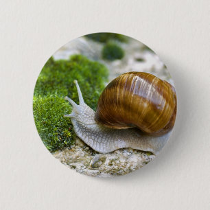 Badge Rond 5 Cm Escargot de Bourgogne