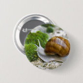 Badge Rond 5 Cm Escargot de Bourgogne (Devant & derrière)