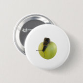 Badge Rond 5 Cm Escargot et pomme (Devant & derrière)