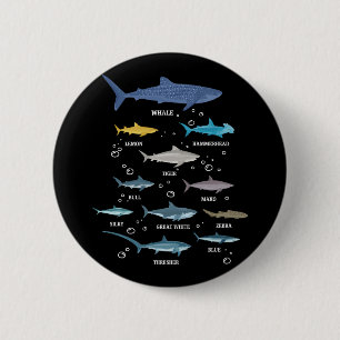 Badge Rond 5 Cm Espèces de requins Le requin fait face à la biolog