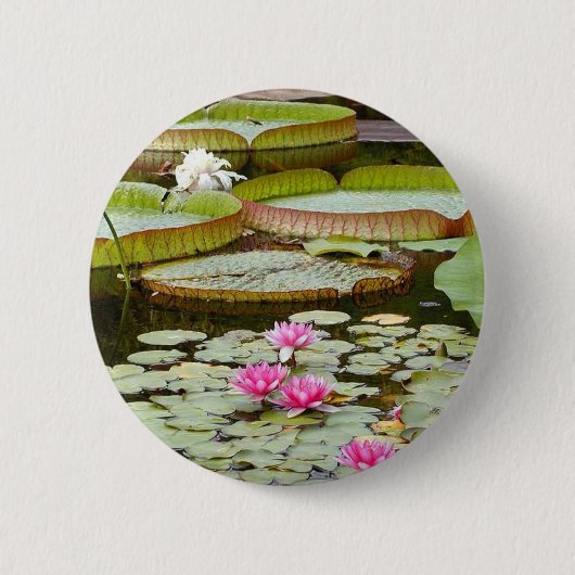 Badge Rond 5 Cm Étangs de protections de nénuphar (Devant)