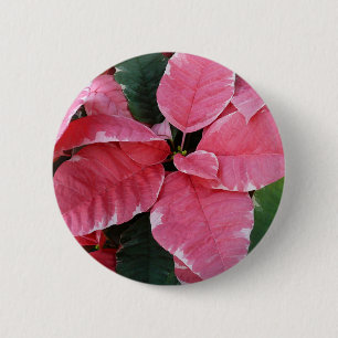 Badge Rond 5 Cm Étoiles d'Argent Marbre Poinsettias Roses Fleurs d