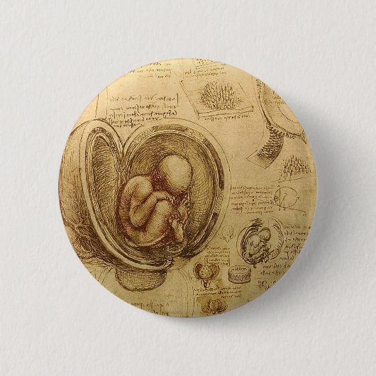 Badge Rond 5 Cm Études des embryons (Devant)