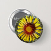Badge Rond 5 Cm F1 Fleur sauvage jaune Gaillardia (Devant & derrière)
