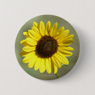Badge Rond 5 Cm F47 Fleur sauvage jaune Fleur de soleil annuelle c