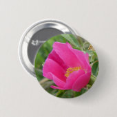 Badge Rond 5 Cm F7 Rose sauvage d'Alberta (Devant & derrière)