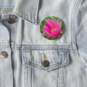 Badge Rond 5 Cm F7 Rose sauvage d'Alberta (En situation)