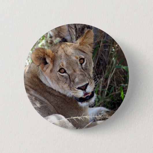 Badge Rond 5 Cm face de lion (Devant)