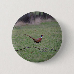 Badge Rond 5 Cm Faisan