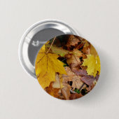 Badge Rond 5 Cm Fallen Maple Feuille Jaune Automne Nature (Devant & derrière)