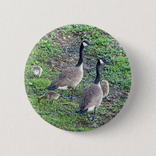Badge Rond 5 Cm Famille canadienne d'oies