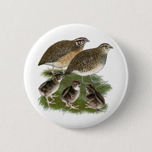 Badge Rond 5 Cm Famille de Cailles Coturnix