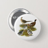 Badge Rond 5 Cm Famille de faisans à collier (Devant & derrière)