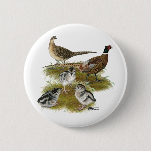 Badge Rond 5 Cm Famille Pheasant Ringneck (Devant)