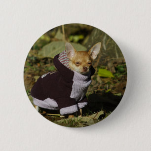 Badge Rond 5 Cm Fancy Chihuahua