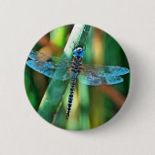 Badge Rond 5 Cm Fantasy Dragonfly (Devant)