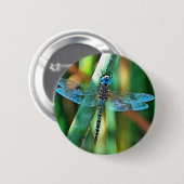 Badge Rond 5 Cm Fantasy Dragonfly (Devant & derrière)