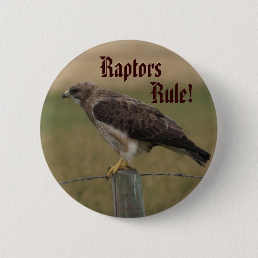 Badge Rond 5 Cm Faucon de B10 Swainson (Devant)