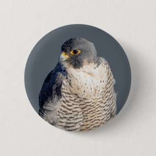 Badge Rond 5 Cm Faucon pèlerin le long de la rivière Hudson