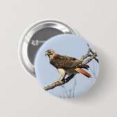 Badge Rond 5 Cm faucon Rouge-coupé la queue (Devant & derrière)