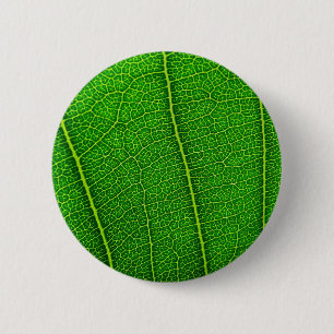 Badge Rond 5 Cm feuille