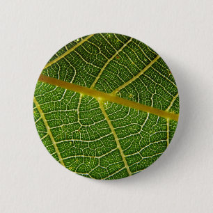 Badge Rond 5 Cm Feuille