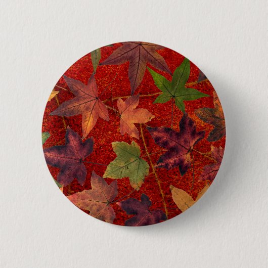 Badge Rond 5 Cm Feuille d'arbre d'automne de feuille d'automne (Devant)