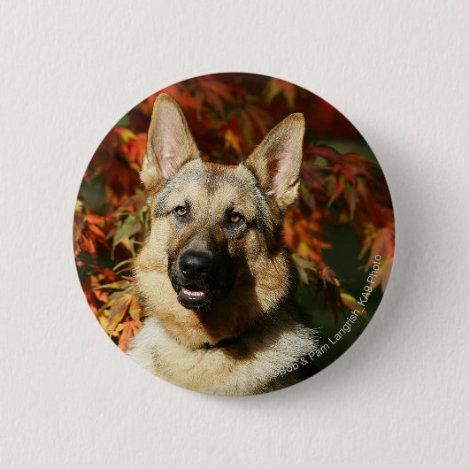 Badge Rond 5 Cm Feuille d'automne de berger allemand (Devant)
