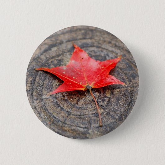Badge Rond 5 Cm Feuille d'automne sur le bouton rond du journal (Devant)