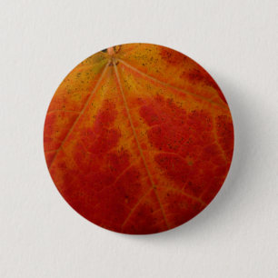 Badge Rond 5 Cm Feuille d'érable rouge Abstraite Automne Photograp