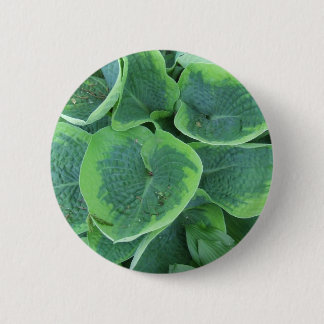 Badge Rond 5 Cm Feuille vert-foncé vert clair de Hosta varié