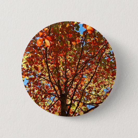 Badge Rond 5 Cm Feux d'artifice d'automne (Devant)