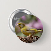 Badge Rond 5 Cm Finch vert (Devant & derrière)