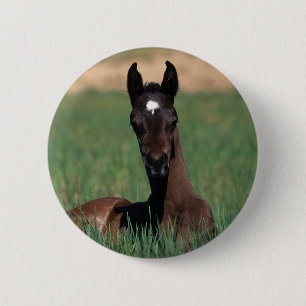 Badge Rond 5 Cm Fixation arabe de poulain
