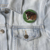 Badge Rond 5 Cm Fixation de poulain de Warmblood (En situation)
