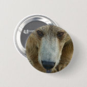 Badge Rond 5 Cm Flair de l'ours (Devant & derrière)
