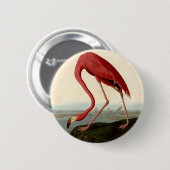 Badge Rond 5 Cm Flamant rose américain Audubon (Devant & derrière)