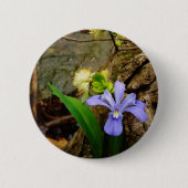 Badge Rond 5 Cm Fleur blanche pourpre bleu Iris (Devant)