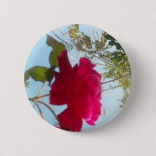 Badge Rond 5 Cm Fleur céleste : Un Rose contre le ciel (Devant)