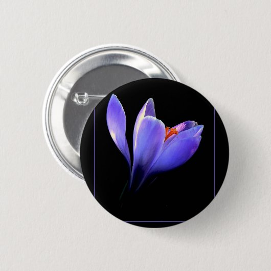 Badge Rond 5 Cm Fleur CROCUS pourpre (Devant & derrière)