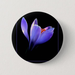 Badge Rond 5 Cm Fleur CROCUS pourpre